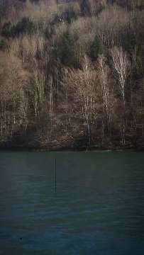 Escher-Wyss + Cie. Dampfschiff Uri AVA-INFO