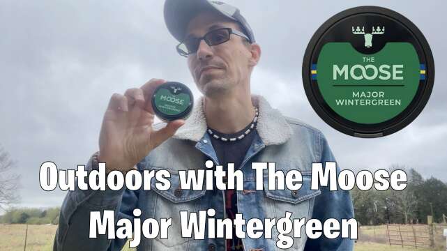 Outdoors with The Moose Major Wintergreen!