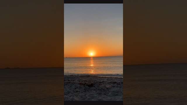 Watching the sunrise from the #beach is so majestic #sunrise #timelapse #youtubeshorts