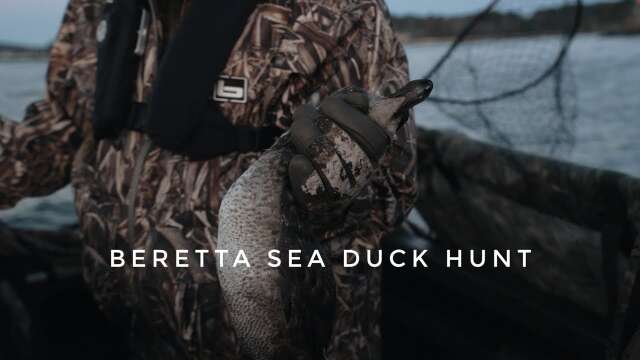 Beretta Sea Duck Hunt Part Deux