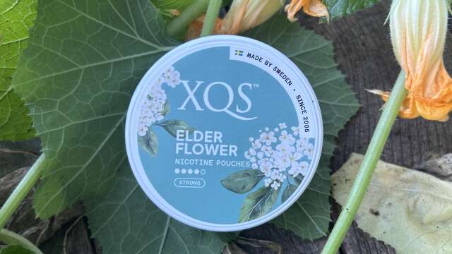 XQS Elderflower (Nicotine Pouches) Review