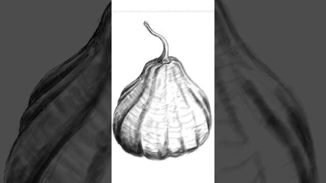 Pumpkin drawing - vegetable that can be made into salty and sweet food #drawing