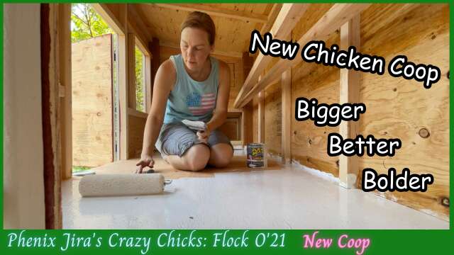 New Chicken Coop Placement