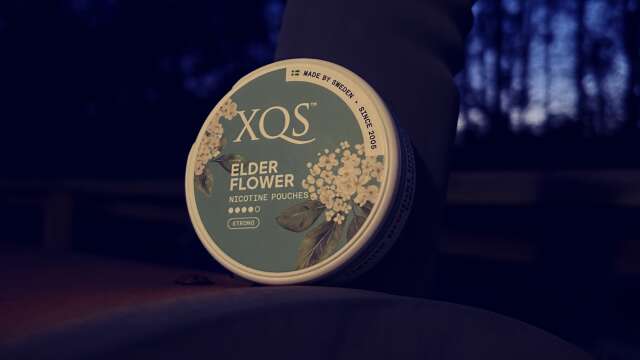 XQS Elderflower (Nicotine Pouches) Review