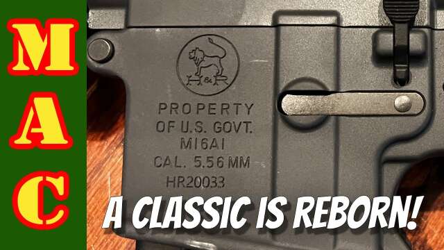 The New H&R M16A1 Rifle Is Here!