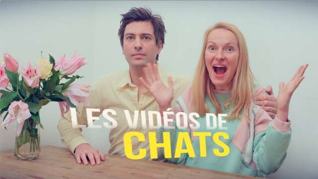 Les Vidéos de Chats #2- Sortir avec un GIF