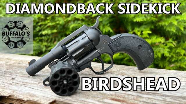 Diamondback Sidekick Birdshead - 22lr / 22 Mag