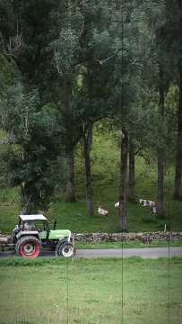 Traktor Schlepper AVA-INFO