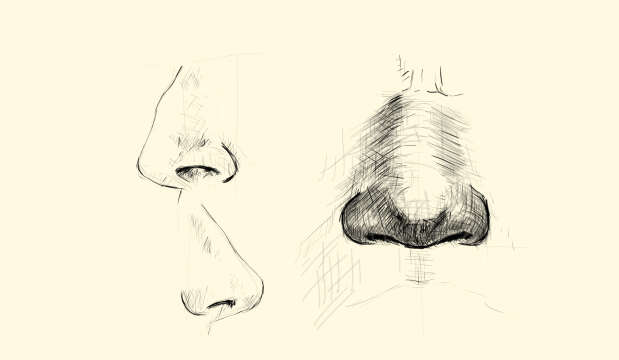 Nose Drawing with different Angles (Practice ) ASMR sound