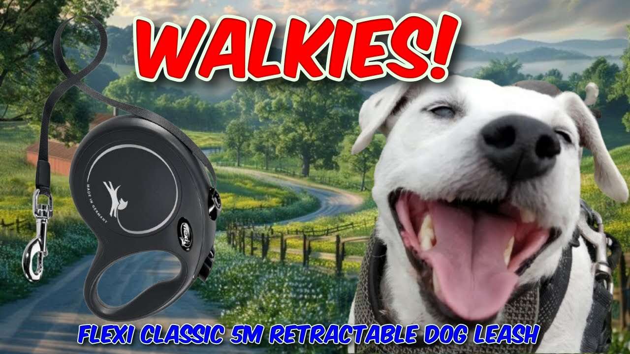 Flexi Classic 5m Retractable Dog Leash Review