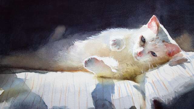 Watercolor painting a cat - light and shadow