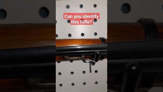Can you identify this Rifle?