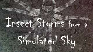 Insects Storms from a Simulated Sky