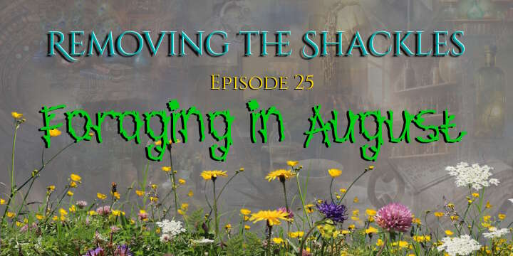 RTS ep 25: Foraging in August