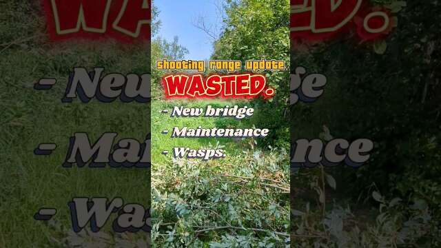 Shooting range update // New bridge, tall grass & fallen trees + Bonus wasp nest. #airgun