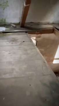 Getreidemühle AVA-INFO