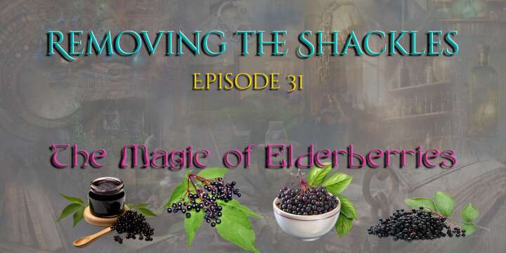 The Magic of Elderberries