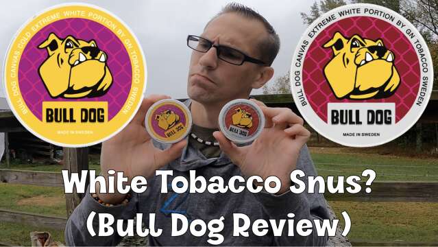 White Tobacco Snus?  (Bull Dog Snus Review)