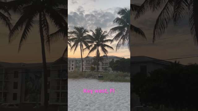 Took a trip to #keywest for my #birthday #views #sunset #shortsvideo #shorts #palmtrees