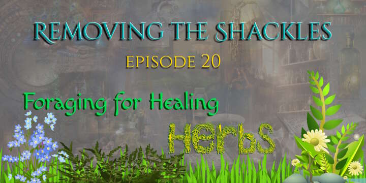 RTS: Foraging for healing herbs in June