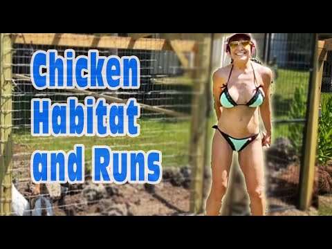 How To Build The Perfect Chicken Coop Now!