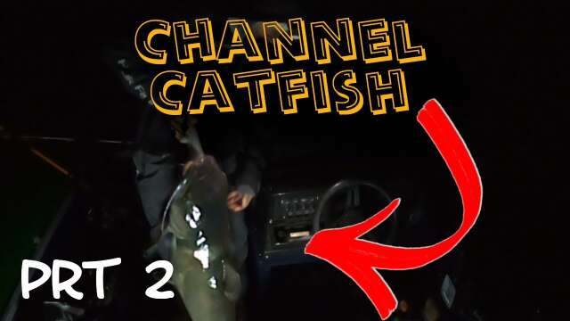 I've Searched For THIS Catfish Hole for 6 yrs | EPIC Night Creek Fishing PRT 2