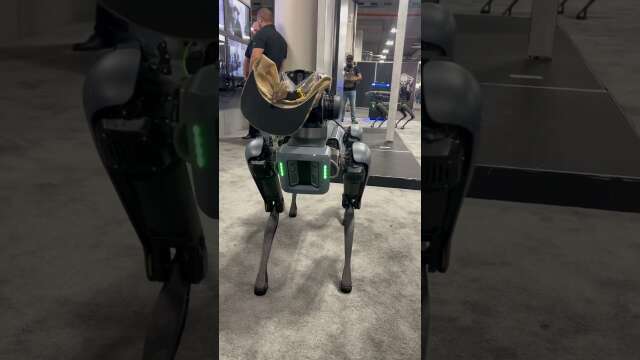 The robotic “rescue” dog  by Boston Dynamics. If he  comes to rescue me I’m gonna end myself quickly