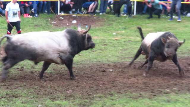 Alkar vs Zećo Liskovica 2024