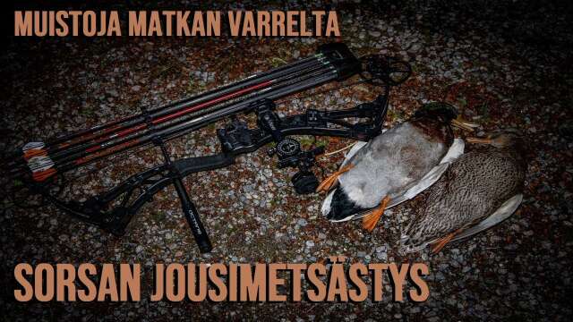 MUISTOJA MATKAN VARRELTA // SORSAN JOUSIMETSÄSTYS 2021 #metsästys #jousimetsästys