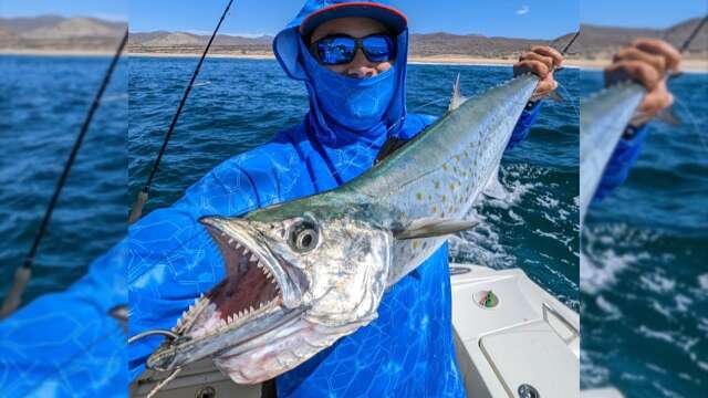 Cabo San Lucas Inshore Fishing Adventure: Jigs, Stickbaits, and Epic Catches!