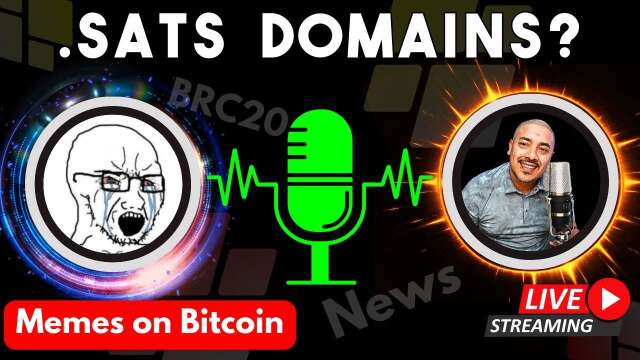 Memes on Bitcoin BRC-20 & .Sats Domains discussion