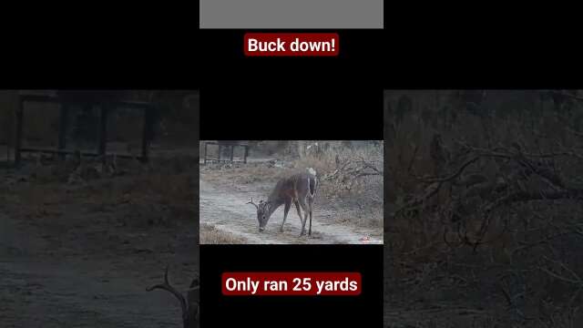 Buck Down!