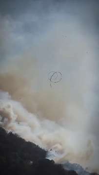 Waldbrand AVA-INFO