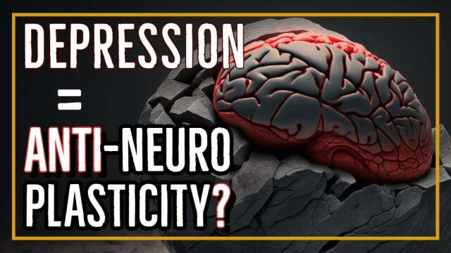 The Misery of a Rigid Brain: How Neuroplasticity Deficits Contribute to Depression