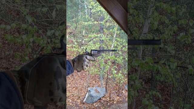 Shooting my 9mm Pinfire Revolver