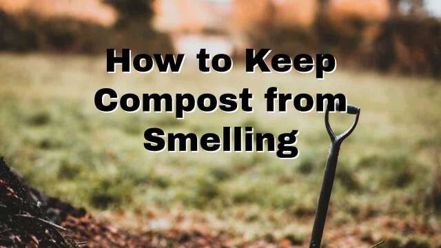 Keep Compost from Smelling