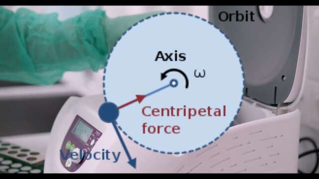 Cetrifugal and centripidal forces