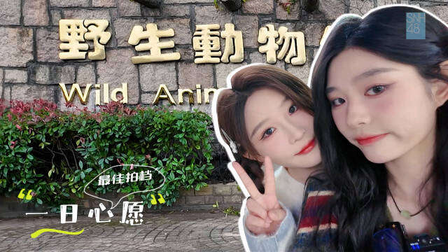 SNH48 - "小囡囡" Episode 1 20250219