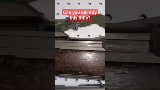 Can you identify this Rifle?