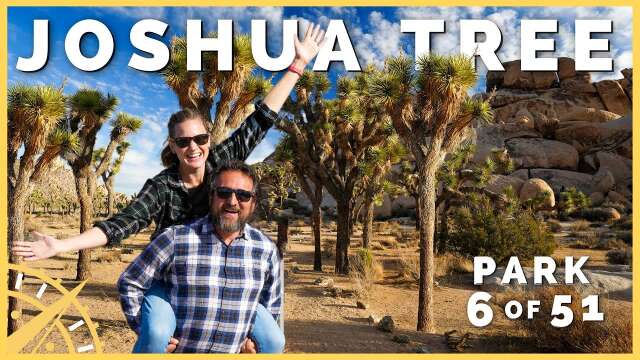 🗺️🚙 Joshua Tree: When You Only Have One Day | 51 Parks with the Newstates