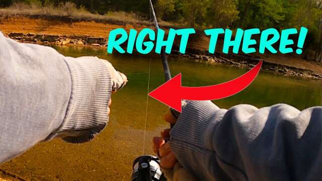 How To Sight Fish ROAMING Largemouth Bass - Fishing Tip