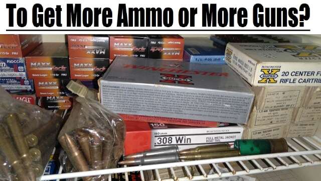 To Invest in Guns or Ammo?