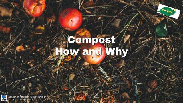 Compost  How and Why