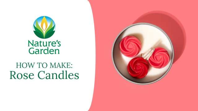 How to Make Rose Candles With Nature's Garden Vanilla Rose Fragrance Oil