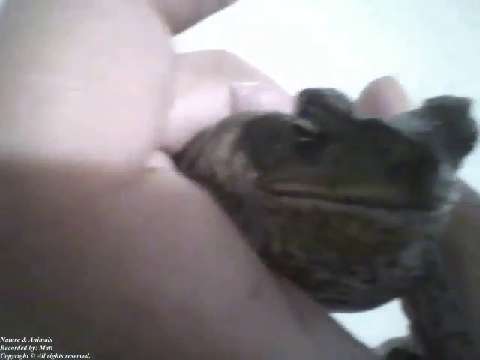 I put a frog in my hand for few seconds, without hurting it [Nature & Animals]