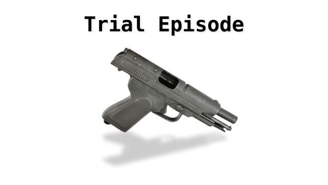 Primer 003*: Patron Release