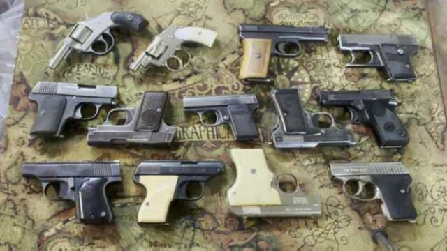 Mouseguns on Parade