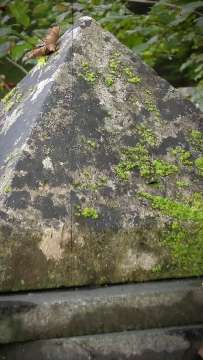 Pyramidion Schlussstein AVA-INFO