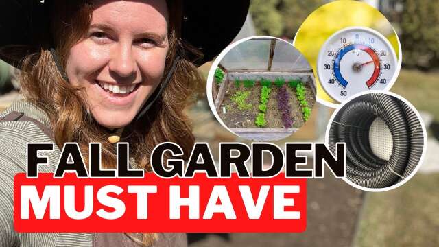 Fall Gardening In A Cold Climate? You NEED These 4 Tools!