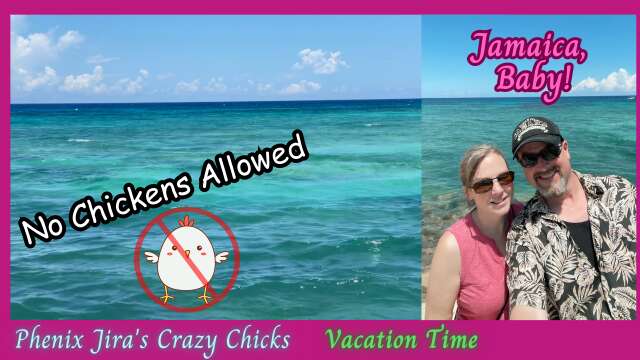Went to Jamaica - Left the Chickens at Home